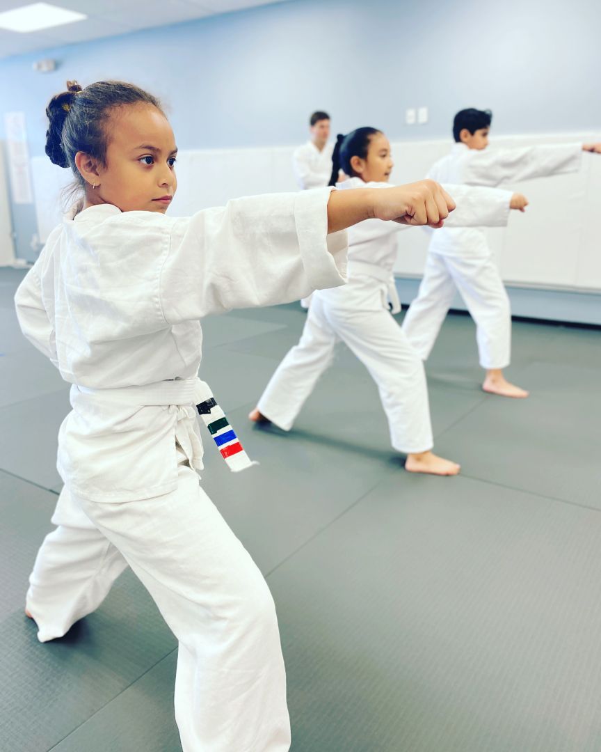 Gallery Central Martial Arts Dallas, TX